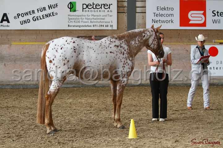 24-ApHC HIH_044.jpg
